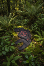 Kotahitanga Original in Forest