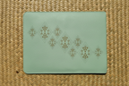 Mint green laptop case