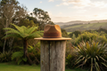 Pātikitiki - NZ Natural Setting