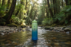 Porohita o te Ao – Stream & Forest Background 3
