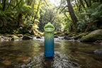 Porohita o te Ao – Stream & Forest Background