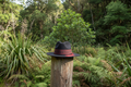 Tūria Image 1 — Native NZ Bush